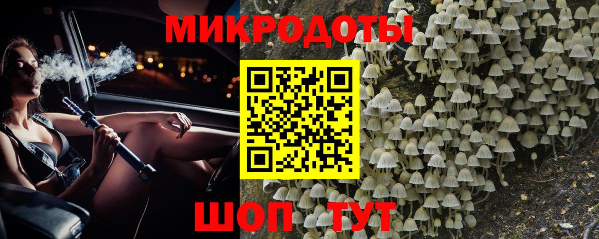 Новый Уренгой  Галлюциногенные грибы Psilocybe  Вход с VPN 