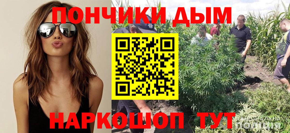 Бошки марихуана ГИДРОПОН Новый Уренгой